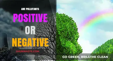 The Pollutant Paradox: Positives and Negatives