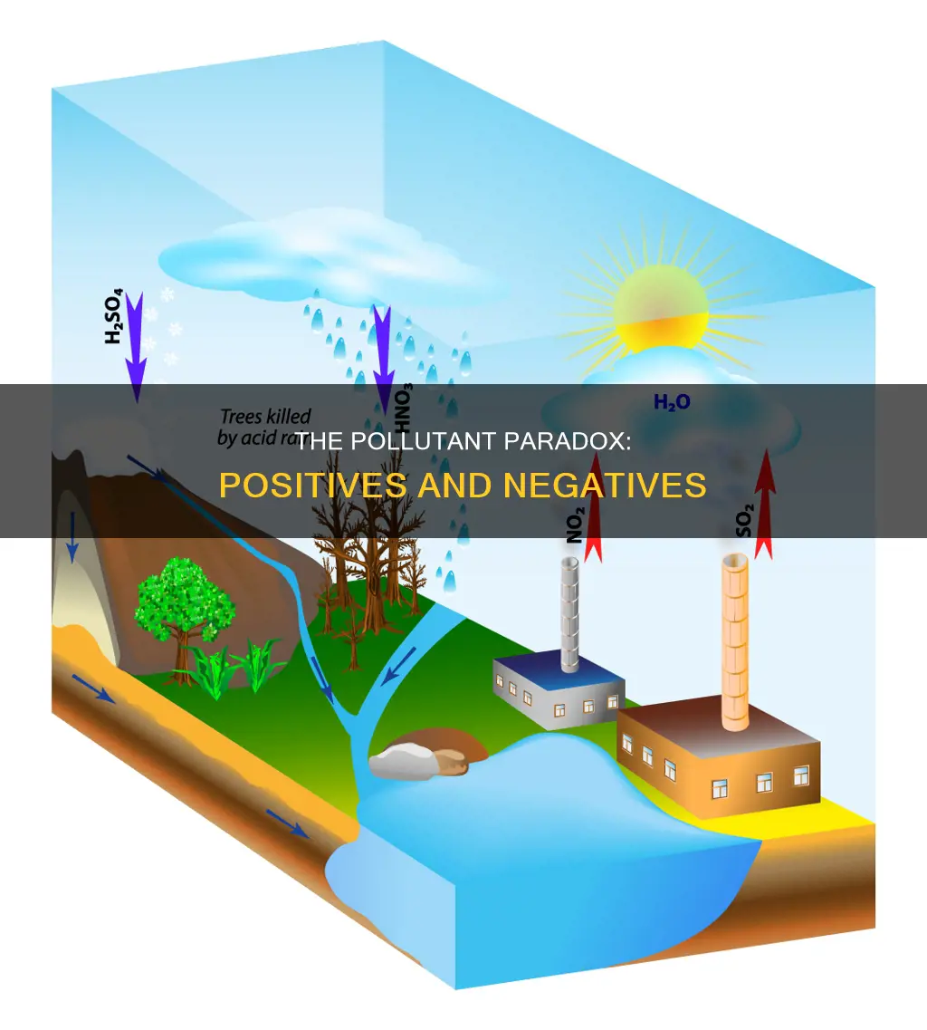 are pollutants positive or negative