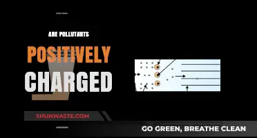 How Do Pollutants Become Positively Charged?