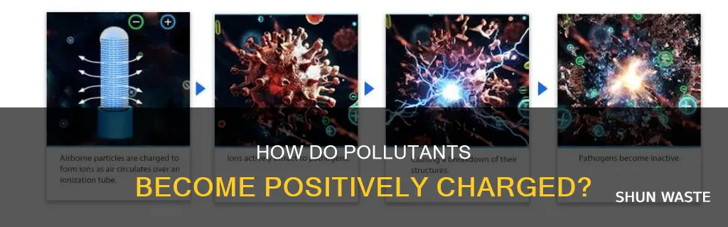 are pollutants positively charged