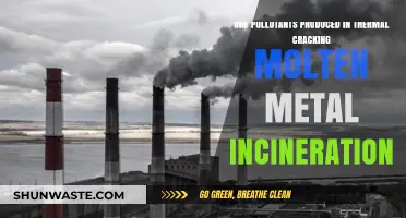 Thermal Cracking: Pollutants and Metal Incineration