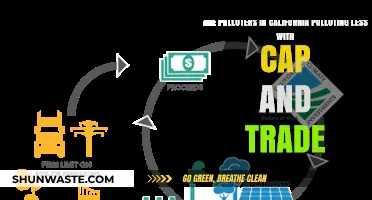 Cap and Trade: California's Polluters Cleaning Up?