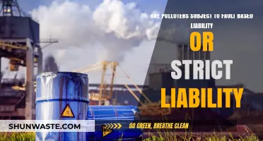 Polluters: Strict Liability or Fault-Based?