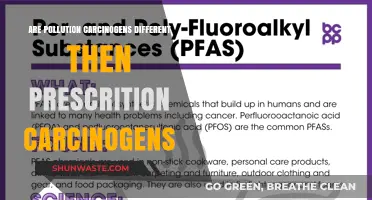Pollution vs. Prescription: Understanding Carcinogen Sources
