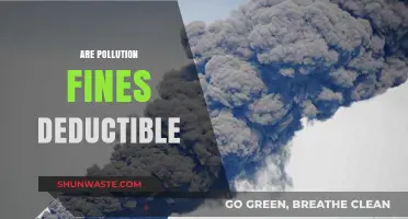 Pollution Fines: Are They Tax Deductible Expenses?