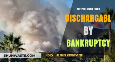 Pollution Fines: Can Bankruptcy Provide a Clean Slate?