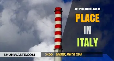 Italy's Pollution Laws: Are They Effective?