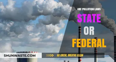 Pollution Laws: State vs Federal Jurisdiction