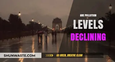 Pollution Levels: Are They Declining or Rising?