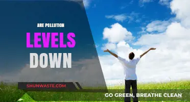Pollution Levels: A Global Drop?