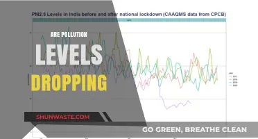 Pollution Levels: A Drop for the Better?