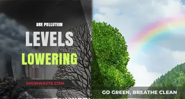 Pollution Levels: Are They Dropping?