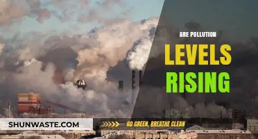 Pollution Levels: Rising Dangerously, What Can We Do?