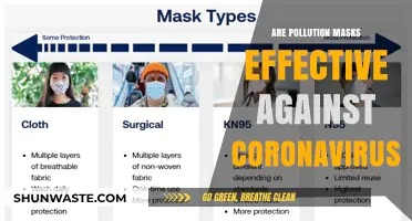 Pollution Masks: Effective COVID-19 Protection?