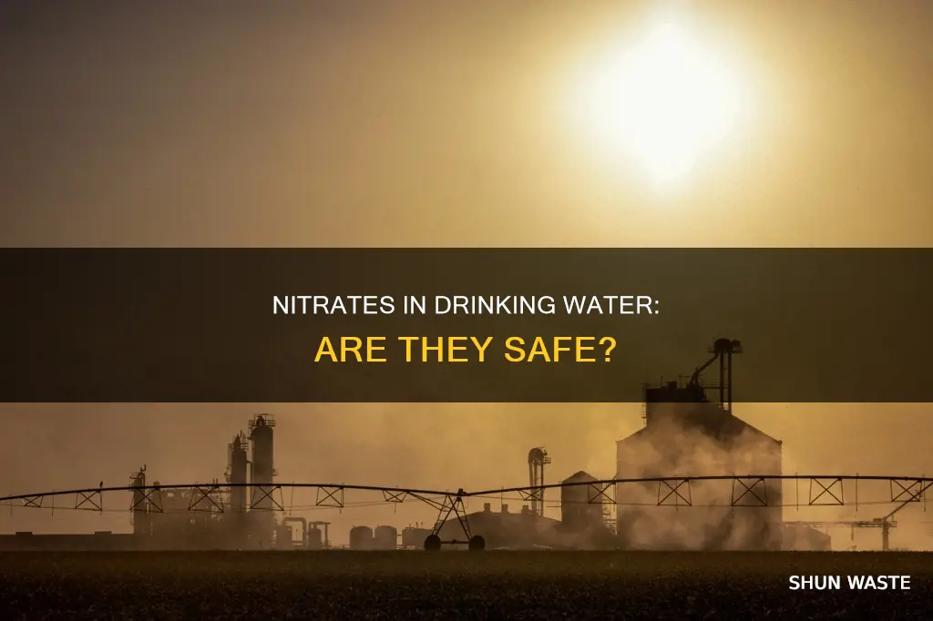 are pollution nitrates bad for you
