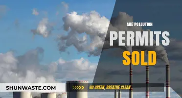 Pollution Permits: Can They Be Traded?
