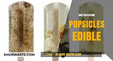 Pollution Popsicles: Edible or Not?