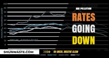 The World is Breathing Easier: Pollution Rates Drop