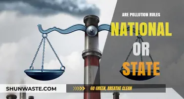 Pollution Rules: Who's in Charge?