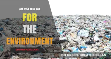 Poly Bags and the Environment: Uncovering Their Ecological Impact and Alternatives