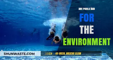 Environmental Impact of Swimming Pools: Sustainable Practices and Concerns
