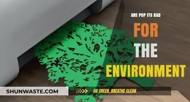 Pop Its and the Planet: Uncovering Their Environmental Impact