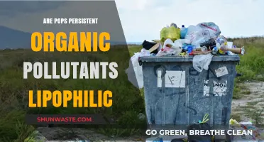 Persistent Pollutants: Lipophilic Nature of POPs