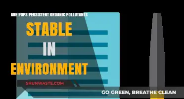Persistent Pollutants: Are They Stable in Our Environment?