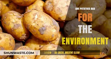 Potatoes' Environmental Impact: Sustainable Crop or Ecological Concern?