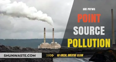 Understanding POTWs: Point-Source Pollution's Complexities