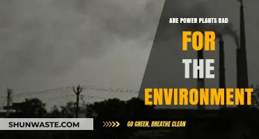 Power Plants and Pollution: Environmental Impact and Sustainable Alternatives
