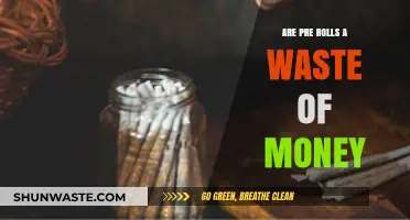 Are Pre-Rolls Worth It? Debunking the Money-Wasting Myth