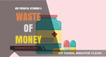 Prenatal Vitamins: Essential Investment or Unnecessary Expense for Moms?