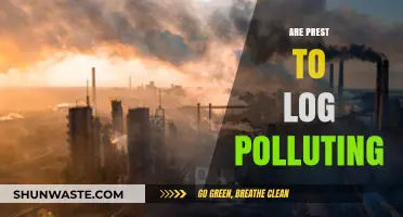 Logs: The Pros and Cons of Prest's Pollution