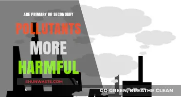 Primary vs Secondary Pollutants: Which Are Worse?