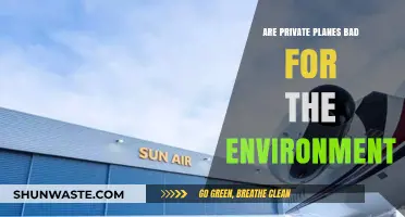 Private Planes and Pollution: Environmental Impact of Luxury Air Travel