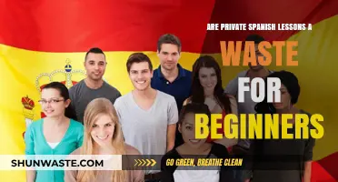 Private Spanish Lessons: Worth the Investment for Beginners or Not?