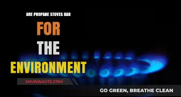 Propane Stoves: Environmental Impact and Sustainable Cooking Alternatives