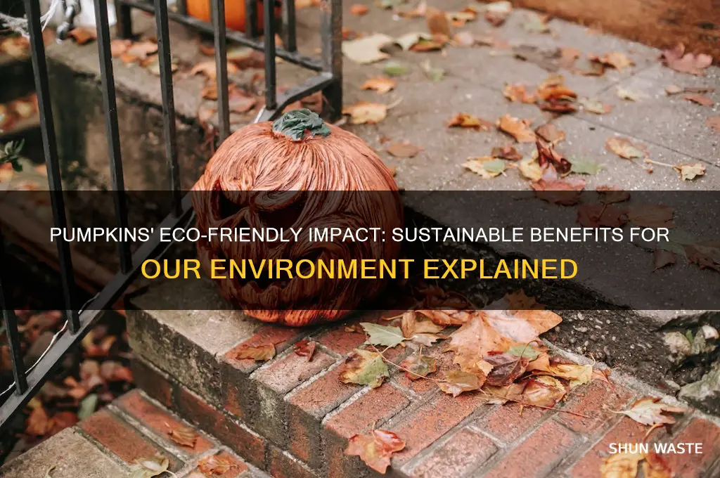 are pumpkins good for the environment