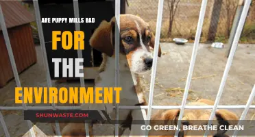 Puppy Mills' Environmental Impact: Uncovering the Hidden Ecological Costs