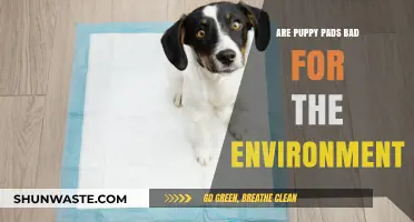 Eco-Friendly Pet Care: Are Puppy Pads Harming Our Planet?