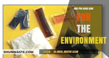 Are PVA Bags Eco-Friendly? Uncovering Their Environmental Impact