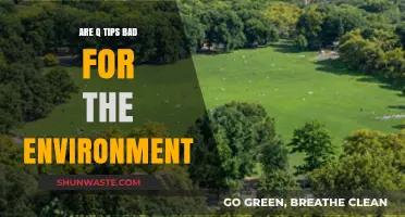 Q-Tips and Eco-Impact: Uncovering Their Environmental Footprint