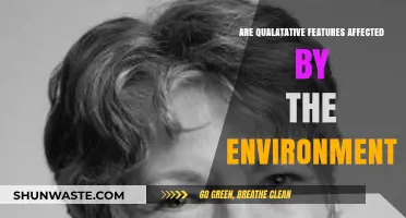 Environmental Influence on Qualitative Features: A Comprehensive Exploration