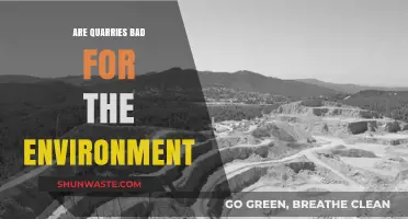Quarries and the Environment: Uncovering Their Ecological Impact and Sustainability