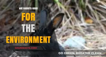 Rabbits' Environmental Impact: Eco-Friendly or Ecological Concern?