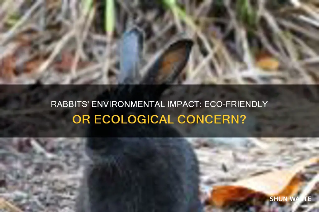 Rabbits' Environmental Impact: Eco-Friendly Or Ecological Concern ...