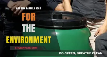 Rain Barrels: Eco-Friendly Solution for Water Conservation and Sustainability