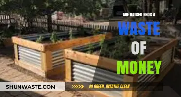 Raised Beds: Worth the Investment or a Gardening Money Pit?