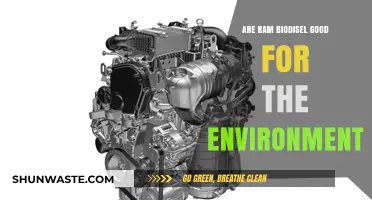 Are RAM Biodiesel Engines Eco-Friendly? Environmental Impact Explained